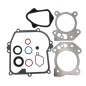 Kit guarnizioni per motori BRIGGS & STRATTON serie 450/500 OHV 08/09P000 595350