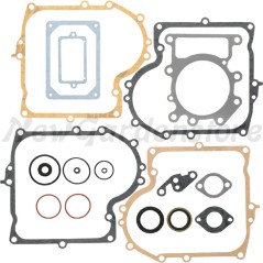 Kit d'étanchéité pour tracteur de pelouse BRIGGS & STRATTON compatible 690189 | Newgardenstore.eu