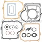 Lawn tractor seal kit BRIGGS & STRATTON compatible 690189