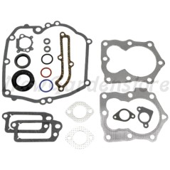 Lawn tractor gasket kit BRIGGS&STRATTON compatible 497316 | Newgardenstore.eu