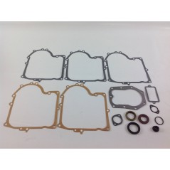 Kit d'étanchéité pour tracteur de pelouse compatible BRIGGS&STRATTON 494241 490525