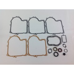 Kit de juntas para tractor de césped compatible BRIGGS&STRATTON 494241 490525