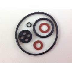 Gasket kit lawn tractor compatible HONDA 16010-ZE1-812 | Newgardenstore.eu