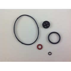 Gasket kit lawn tractor compatible HONDA 16010-ZE2-812 | Newgardenstore.eu