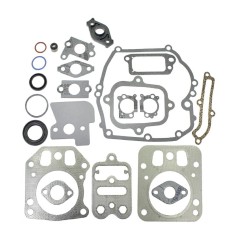 Intek BRIGGS&STRATTON 795442 Kit de sellado para cortacésped BRIGGS&STRATTON