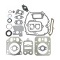 Intek BRIGGS&STRATTON 795442 Kit d'étanchéité pour tondeuse à gazon BRIGGS&STRATTON