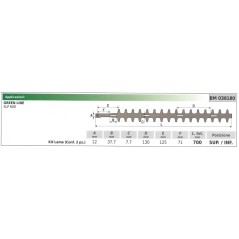 KIT Cuchilla inferior / superior GREEN LINE cortasetos SLP 600 038180 | Newgardenstore.eu