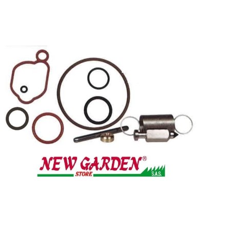 Kit d'entretien pour tondeuse OHV série 500 550 BRIGGS & STRATTON 222049 590589 | Newgardenstore.eu