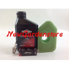 Kit de mantenimiento para reparación de cortacéspedes con motor de 3,5 y 4,5 CV BRIGGS & STRATTON | Newgardenstore.eu