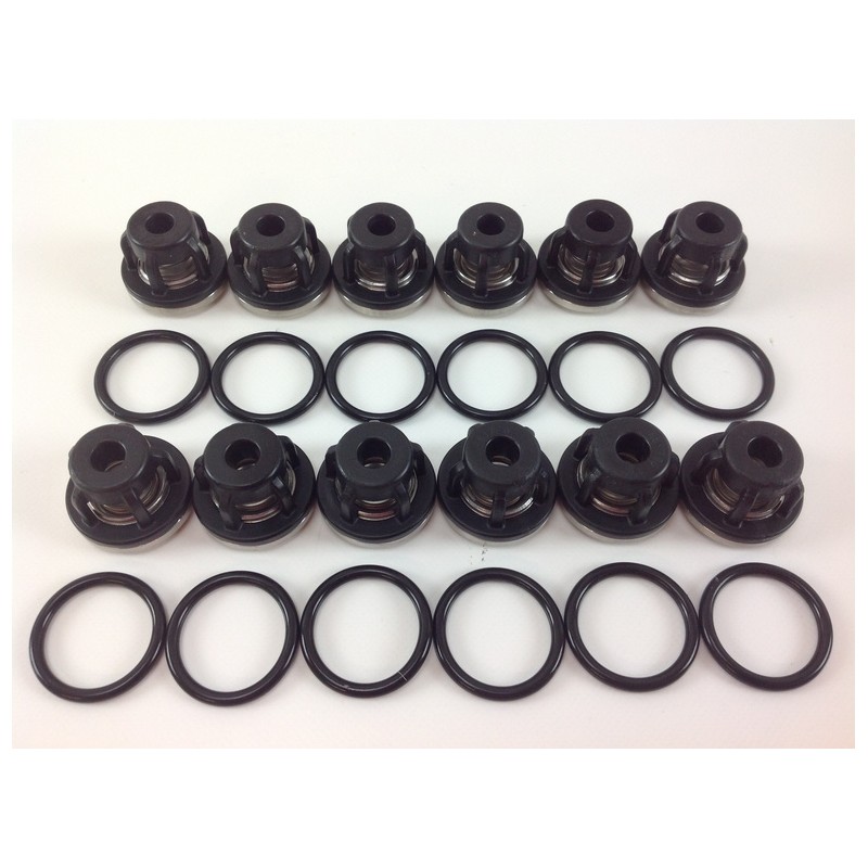 O-RING diaphragm kit for diaphragm pump AR215 bp C/C blue flex ANNOVI 6702114