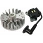 Ignition coil modification kit flywheel adaptable blower 260 KASEI 330249