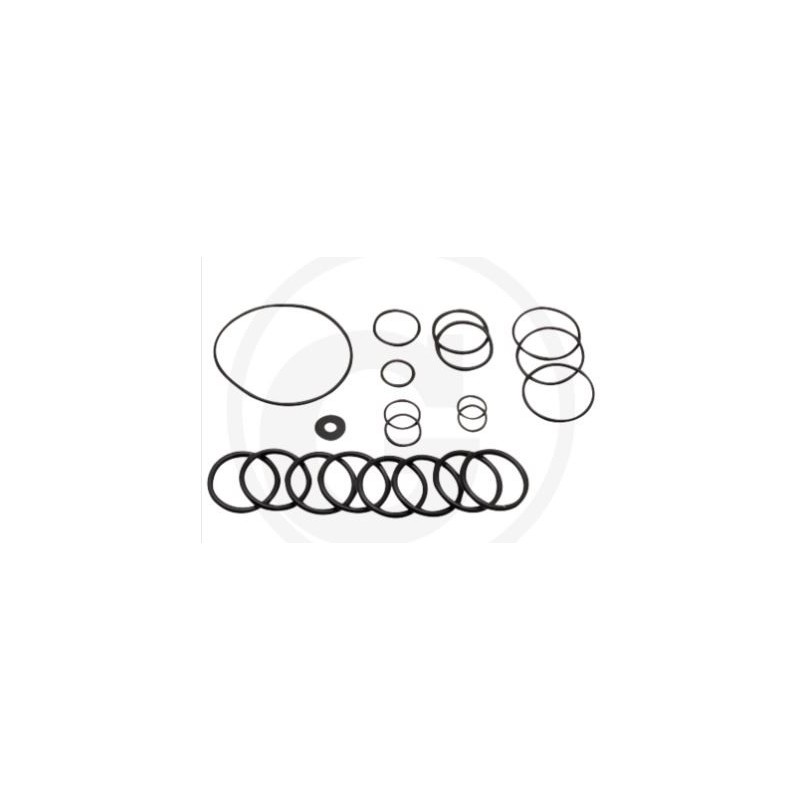 O-RING kit from 2010 for diaphragm pump AR215 bp C/C blue flex ANNOVI 67042513