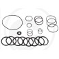 O-RING kit from 2010 for diaphragm pump AR215 bp C/C blue flex ANNOVI 67042513