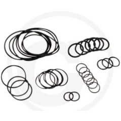 O-ring kit up to series no. 1801913999 for diaphragm pump AR 813 ANNOVI 6702376