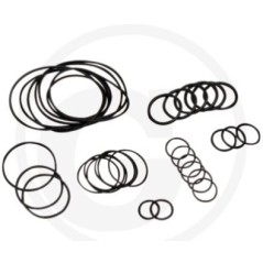 O-ring kit up to series no. 1801913999 for diaphragm pump AR 813 ANNOVI 6702376 | Newgardenstore.eu