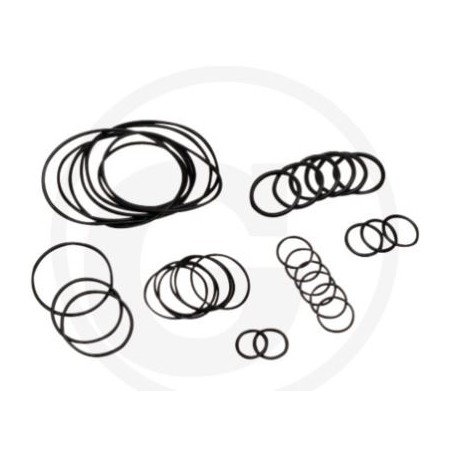 Kit o-ring fino a serie n. 1801913999 per pompa a membrana AR 813 ANNOVI 6702376 | Newgardenstore.eu