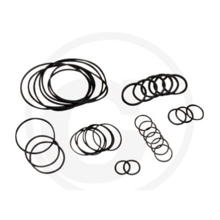 O-ring kit up to series no. 1801913999 for diaphragm pump AR 813 ANNOVI 6702376 | Newgardenstore.eu