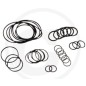 Kit o-ring fino a serie n. 1801913999 per pompa a membrana AR 813 ANNOVI 6702376