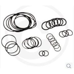 Kit o-ring fino serie n.182013001 per pompa a membrana AR 813 ANNOVI 67043020 | Newgardenstore.eu