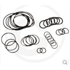 O-ring kit up to series no. 182013001 for diaphragm pump AR 813 ANNOVI 67043020 | Newgardenstore.eu