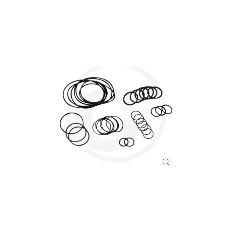 Kit de joints toriques jusqu'au n° de série 182013001 pour pompe à membrane AR 813 ANNOVI 67043020