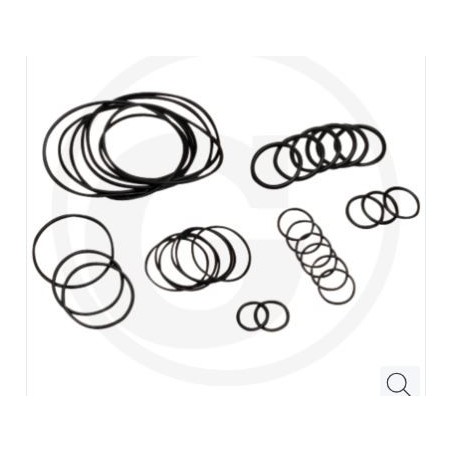 Kit o-ring fino serie n.182013001 per pompa a membrana AR 813 ANNOVI 67043020 | Newgardenstore.eu