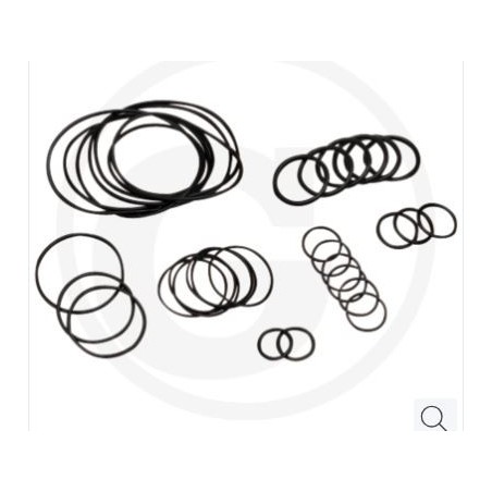 O-ring kit up to series no. 182013001 for diaphragm pump AR 813 ANNOVI 67043020 | Newgardenstore.eu