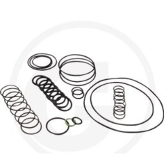 O-ring kit for diaphragm pump AR 1064 AP C/C ANNOVI 6702378 | Newgardenstore.eu