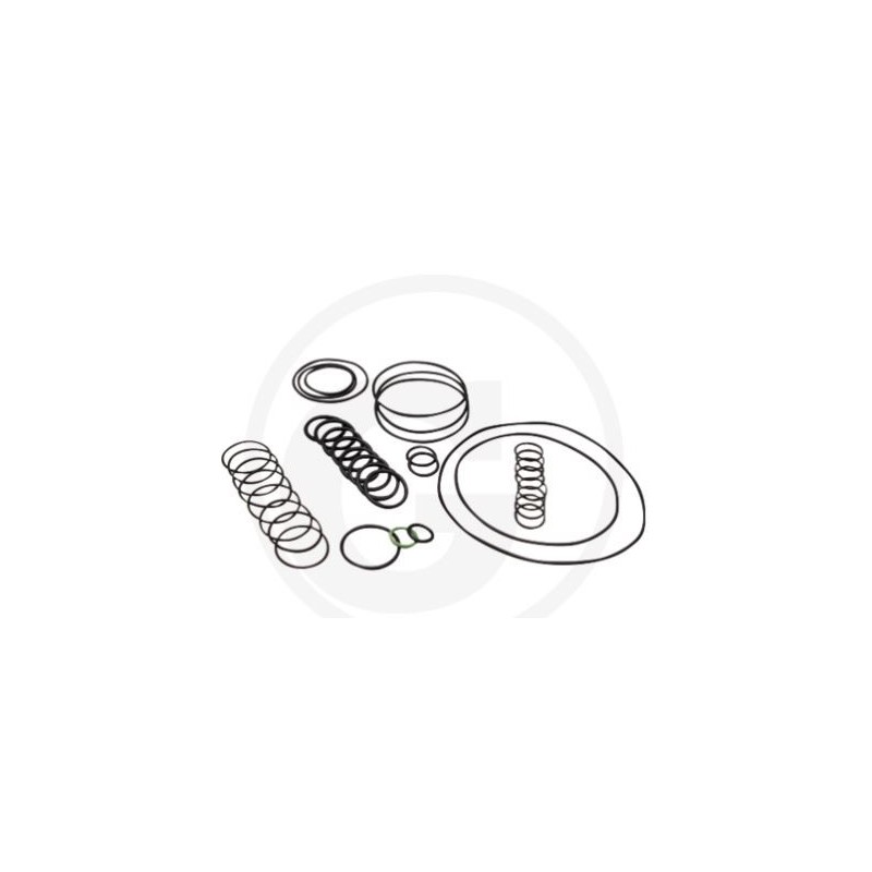 O-ring kit for diaphragm pump AR 1064 AP C/C ANNOVI 6702378
