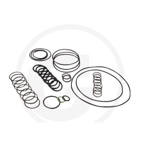 Kit o-ring for diaphragm pump AR 1064 AP C/C ANNOVI 6702378