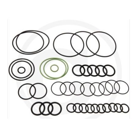 Kit o-ring per pompa a membrana AR 1064 AP C/C ANNOVI 67043022 | Newgardenstore.eu