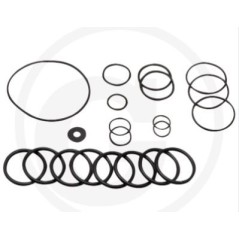O-ring kit for diaphragm pump AR160 185 ANNOVI 67012041 | Newgardenstore.eu