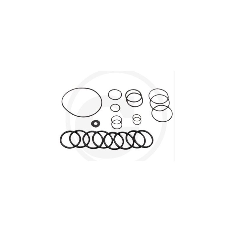 Kit O-ring per pompa a membrana AR160 185 ANNOVI 67012041