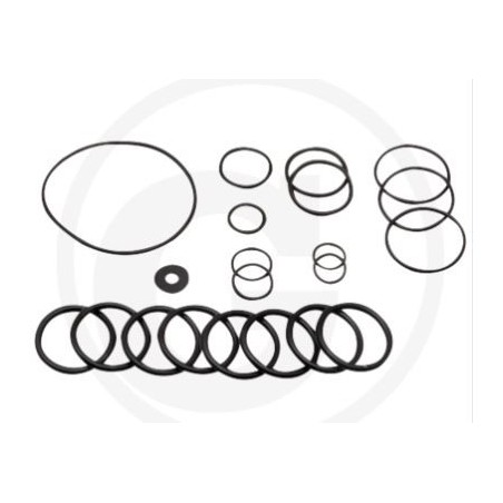 Kit O-ring for diaphragm pump AR160 185 ANNOVI 67012041