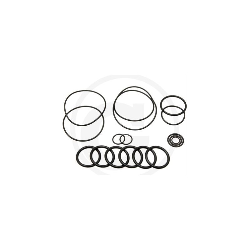 O-ring kit for diaphragm pump BHA 130 AP C/C ANNOVI 6702446