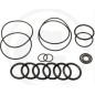 O-ring kit for diaphragm pump BHA 130 AP C/C ANNOVI 6702446