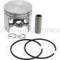 HUSQVARNA 503 460202 Piston kit Ø  56 mm chainsaw brushcutter compatible