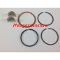 Primer kit de mantenimiento segmentos ZANETTI compatible ZDM70 YANMAR 3.07.00001