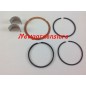 Primer kit de mantenimiento segmentos ZANETTI compatible ZDM70 YANMAR 3.07.00001