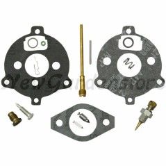 Carburettor overhaul kit BRIGGS & STRATTON 7-9hp horizontal engine | Newgardenstore.eu