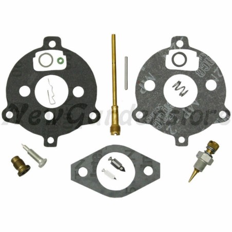 Carburettor overhaul kit BRIGGS & STRATTON 7-9hp horizontal engine | Newgardenstore.eu