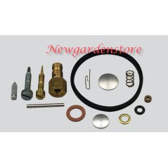 Carburettor overhaul kit 107-246 LAWN BOY 631978 AH600 HH100 HM70 HM80 segments | Newgardenstore.eu