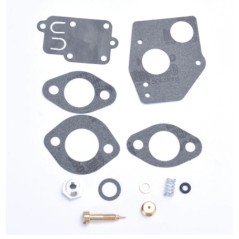 Carburettor overhaul kit 3-409 BRIGGS & STRATTON 3cv -5 horizontal | Newgardenstore.eu