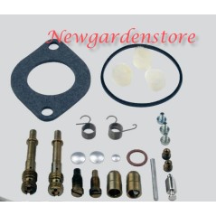 Kit revisión carburador BRIGGS&STRATTON motor vertical 28 31 690191 segmentos