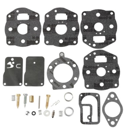 Carburettor overhaul kit BRIGGS & STRATTON 2-cylinder engine 393301 394034 | Newgardenstore.eu