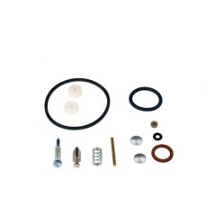 Carburettor overhaul kit BRIGGS & STRATTON 3,4,5 hp max series engine | Newgardenstore.eu