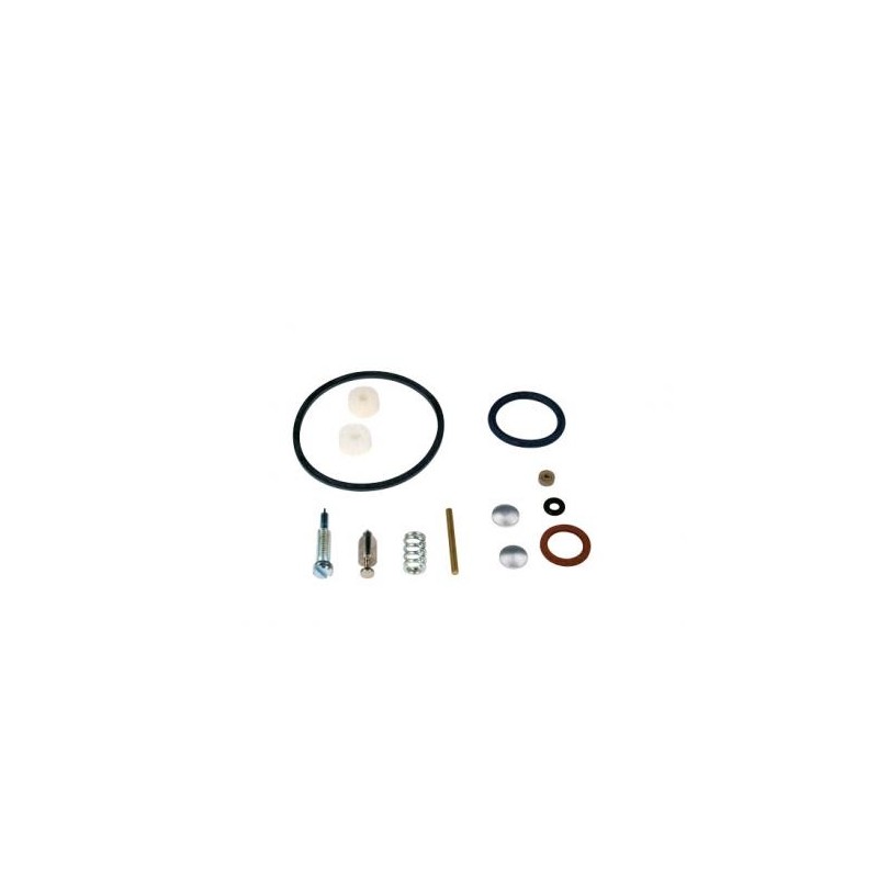 Kit revisión carburador motor serie max 3,4,5 cv BRIGGS & STRATTON