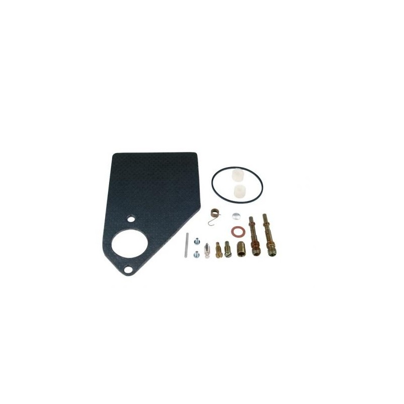 Kit revisión carburador motor BRIGGS & STRATTON 497578