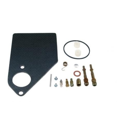 Kit de révision carburateur moteur BRIGGS & STRATTON 497578 | Newgardenstore.eu