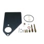 Kit revisión carburador motor BRIGGS & STRATTON 497578